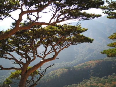 Sokcho, South Korea — 19 October 2016
