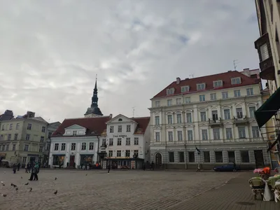 Photo from 5 November 2018