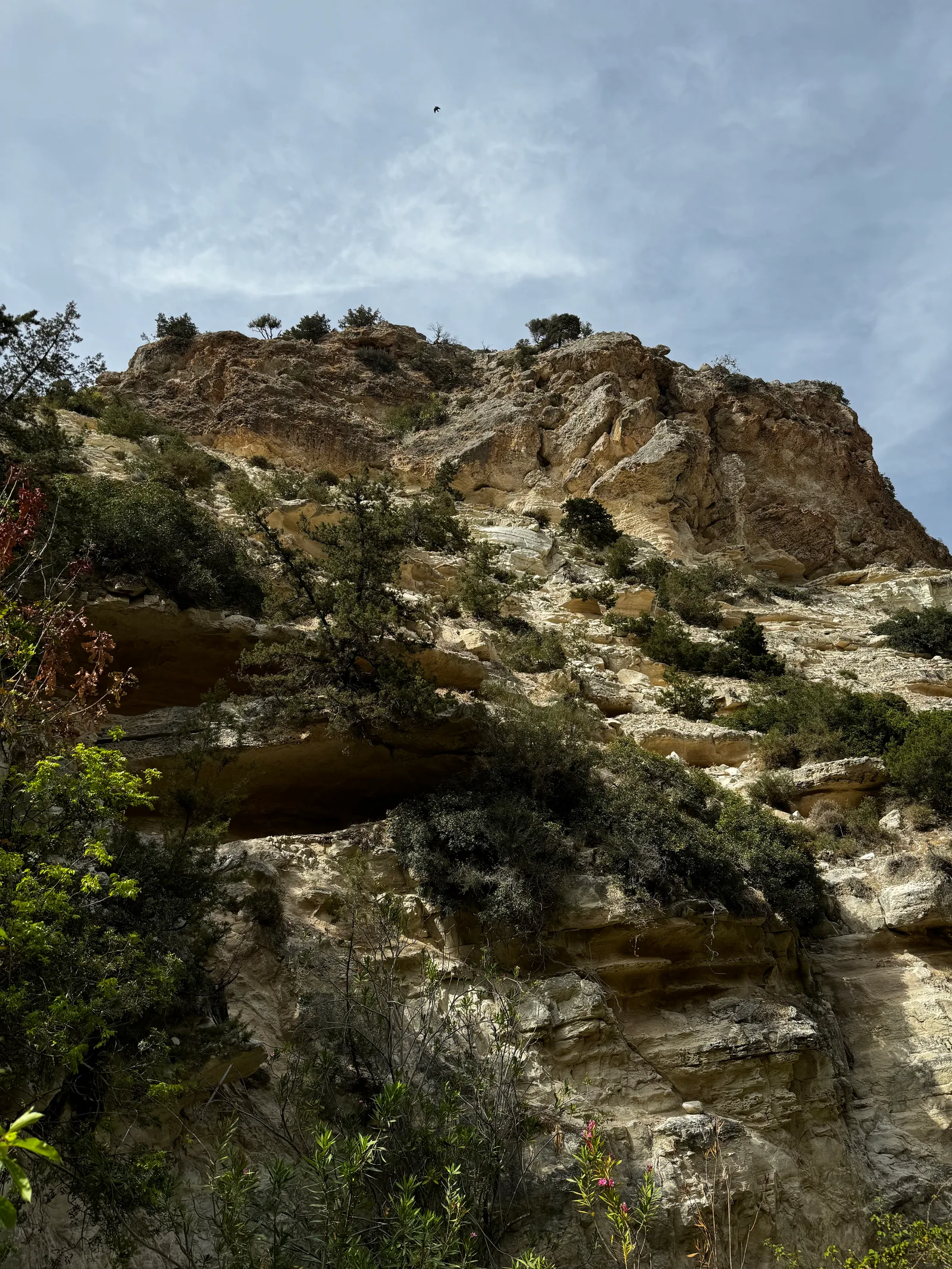 Pégeia, Cyprus — 19 May 2024