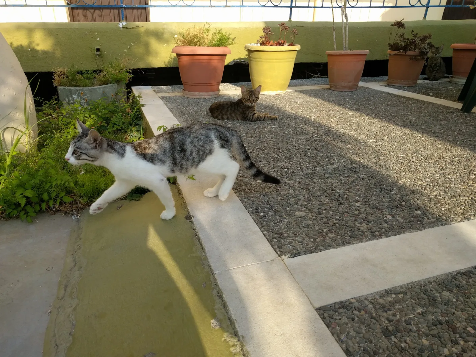 Photo from 10 August 2017