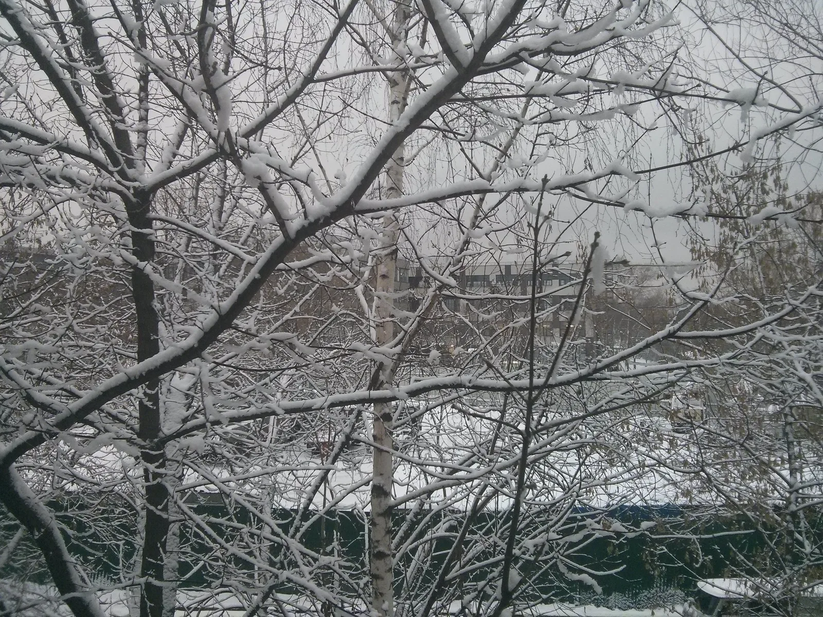 Photo from 5 December 2013