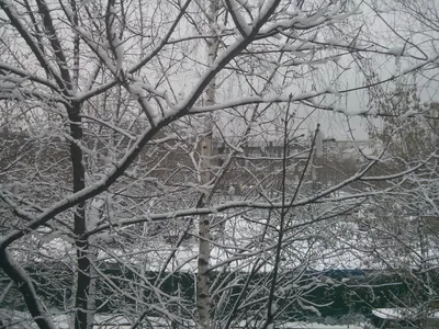 Photo from 5 December 2013