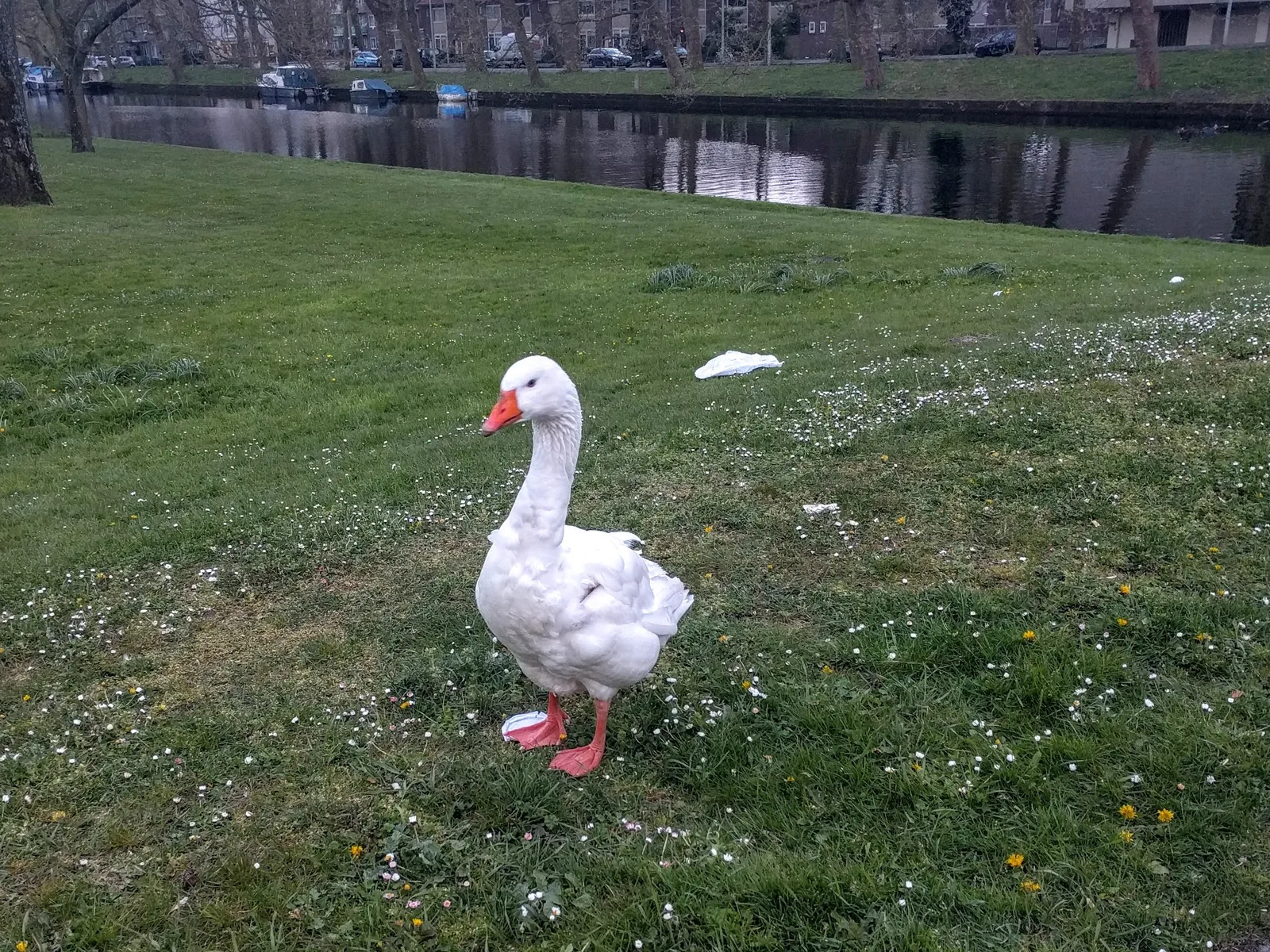 Photo from 27 April 2016