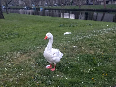 Photo from 27 April 2016