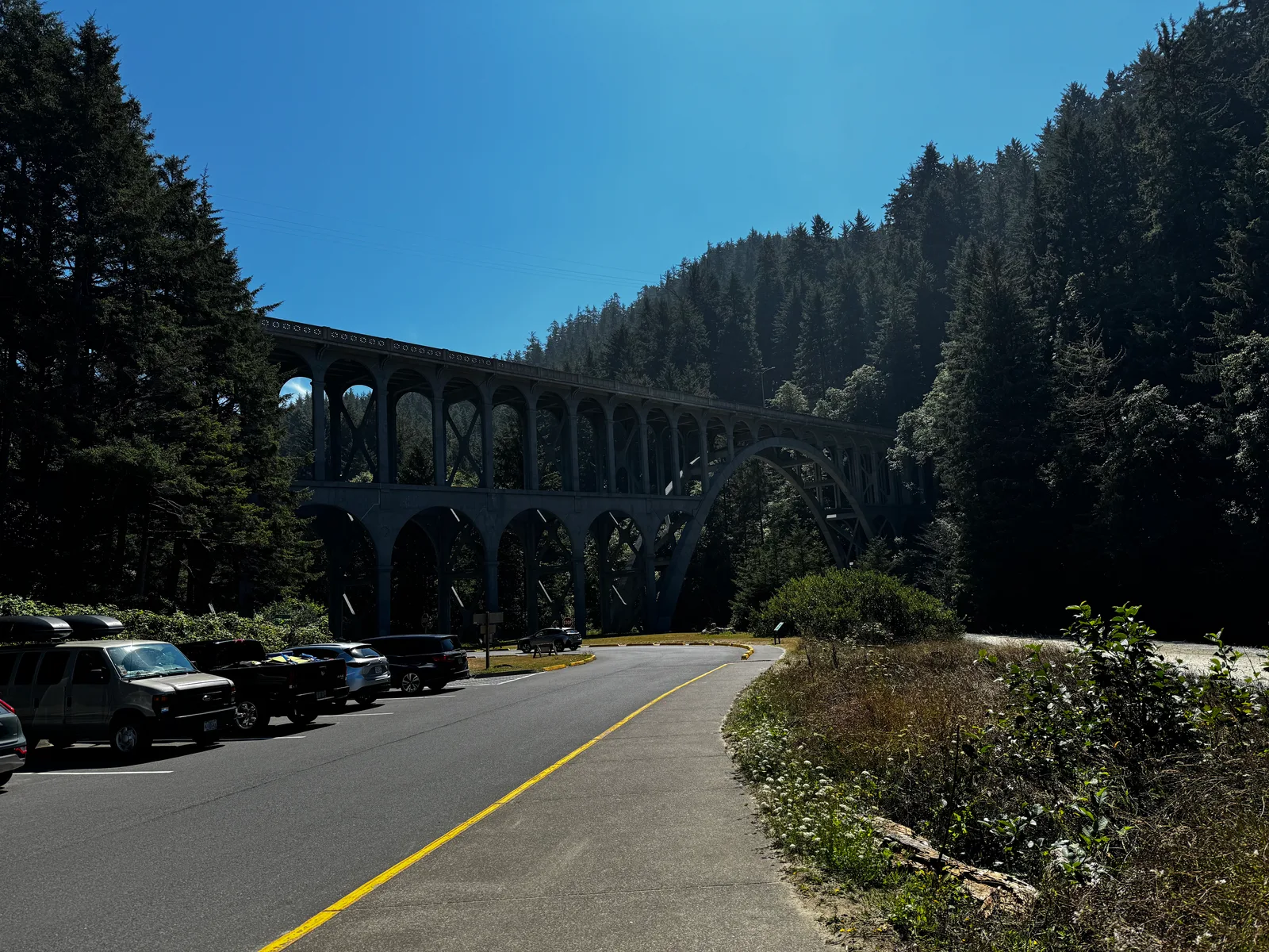 Florence, United States — 26 August 2024