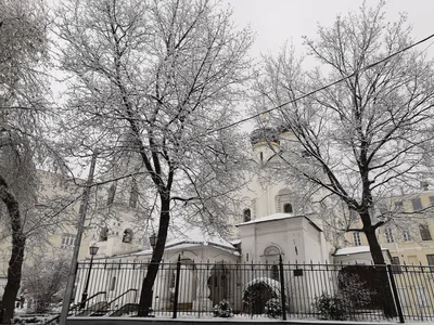 Photo from 11 January 2020