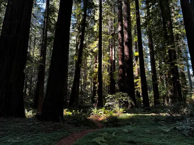 Rio Dell, United States — 28 August 2024