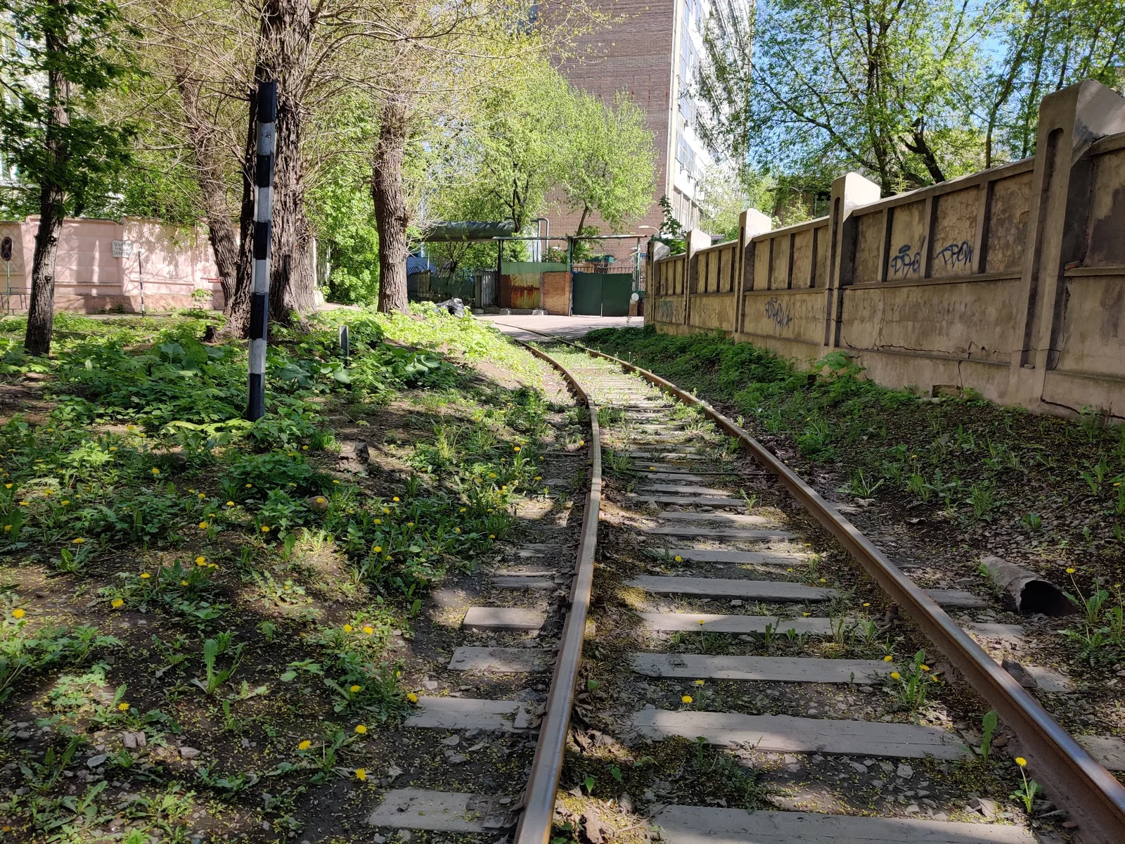 Sokol’niki, Russia — 11 May 2020