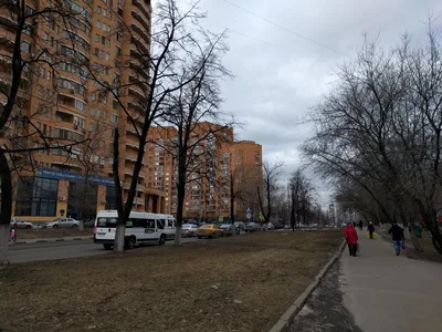 Photo from 14 March 2016
