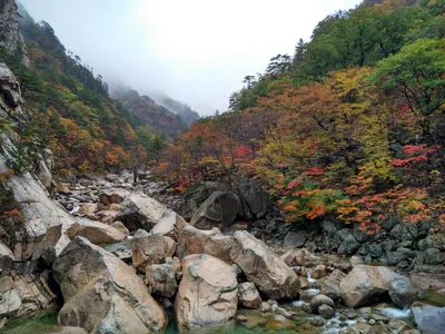 Sokcho, South Korea — 21 October 2016