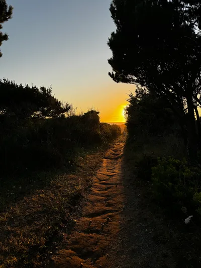 Gold Beach, United States — 26 August 2024