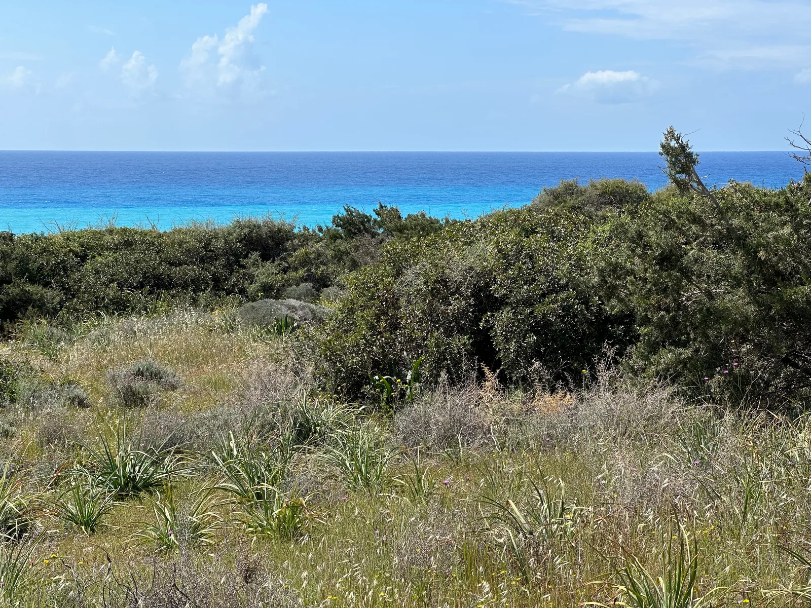 Pissoúri, Cyprus — 17 March 2023