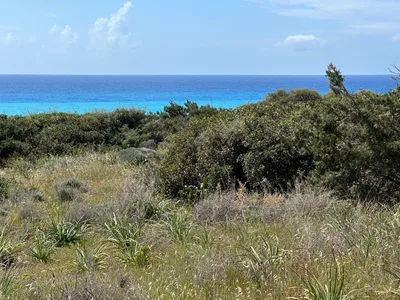 Pissoúri, Cyprus — 17 March 2023