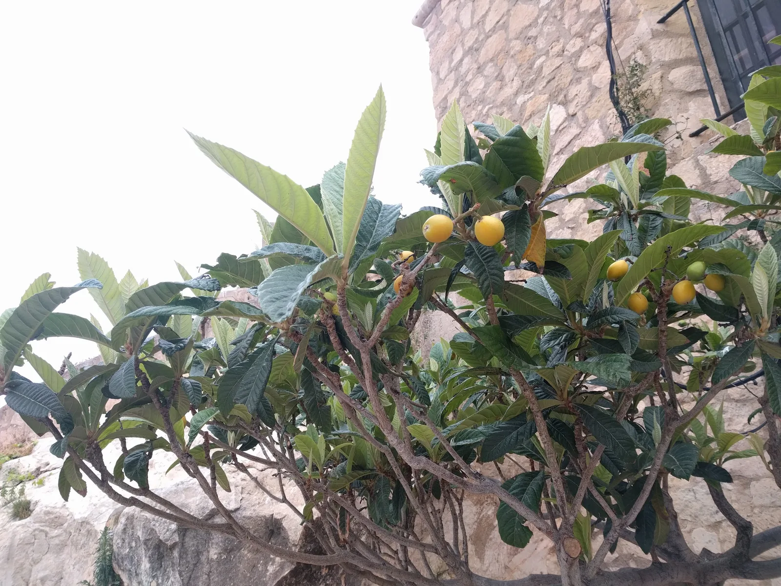 Photo from 28 April 2017