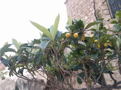 Photo from 28 April 2017