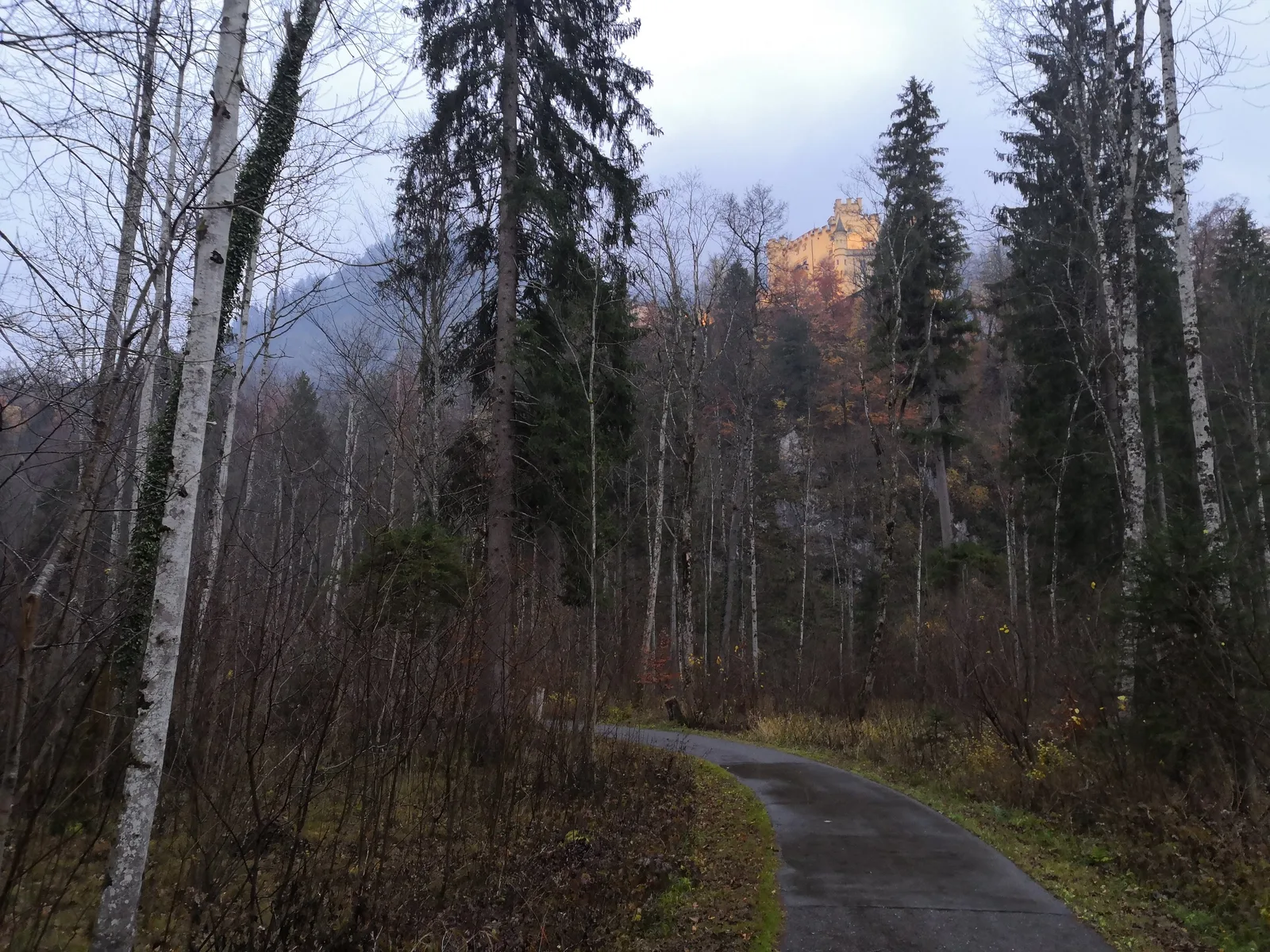 Photo from 8 November 2018