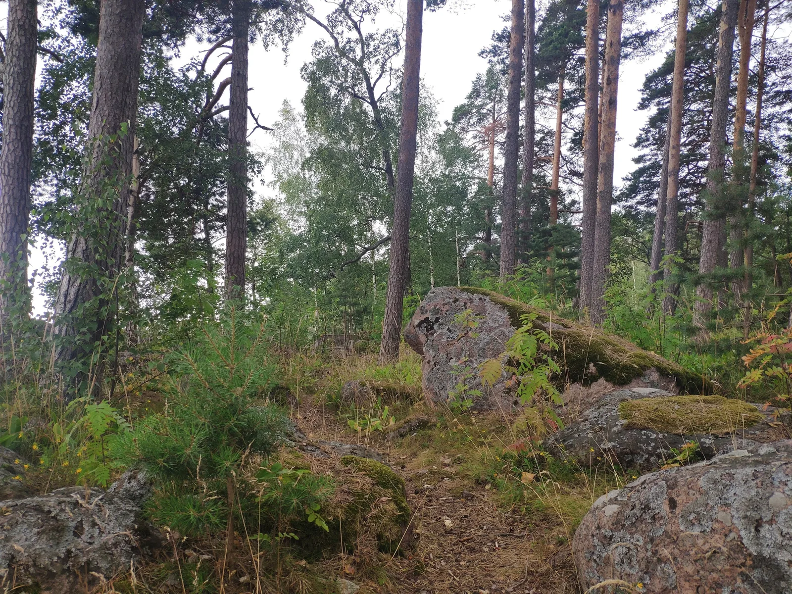 Photo from 2 August 2019