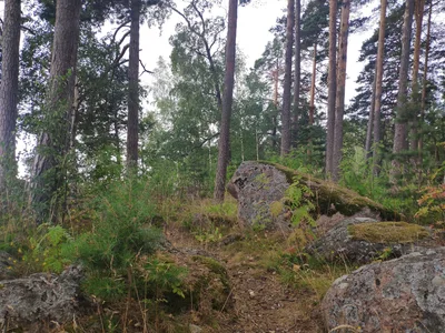 Photo from 2 August 2019