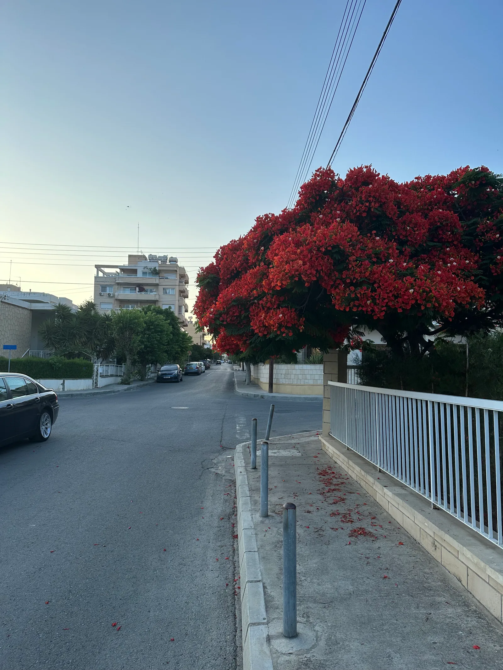 Limassol, Cyprus — 19 June 2023