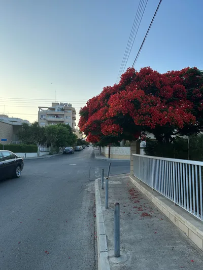 Limassol, Cyprus — 19 June 2023