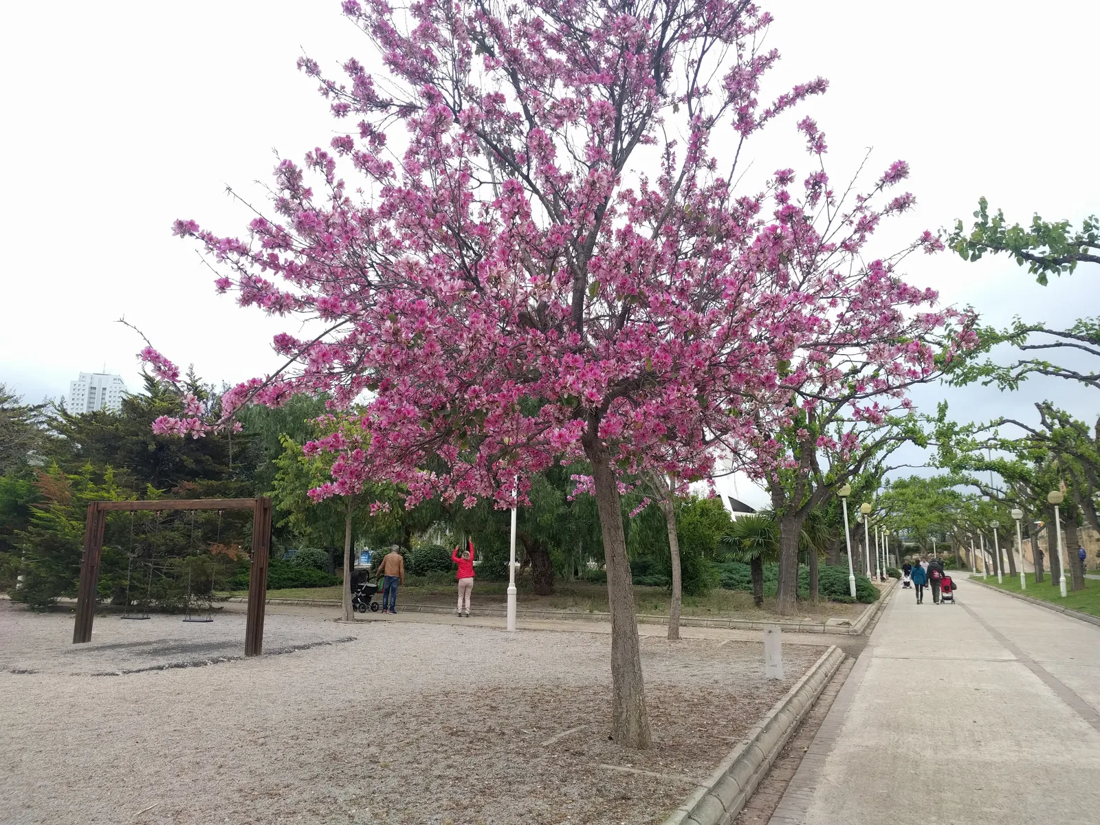 Photo from 29 April 2017