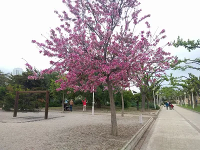 Photo from 29 April 2017