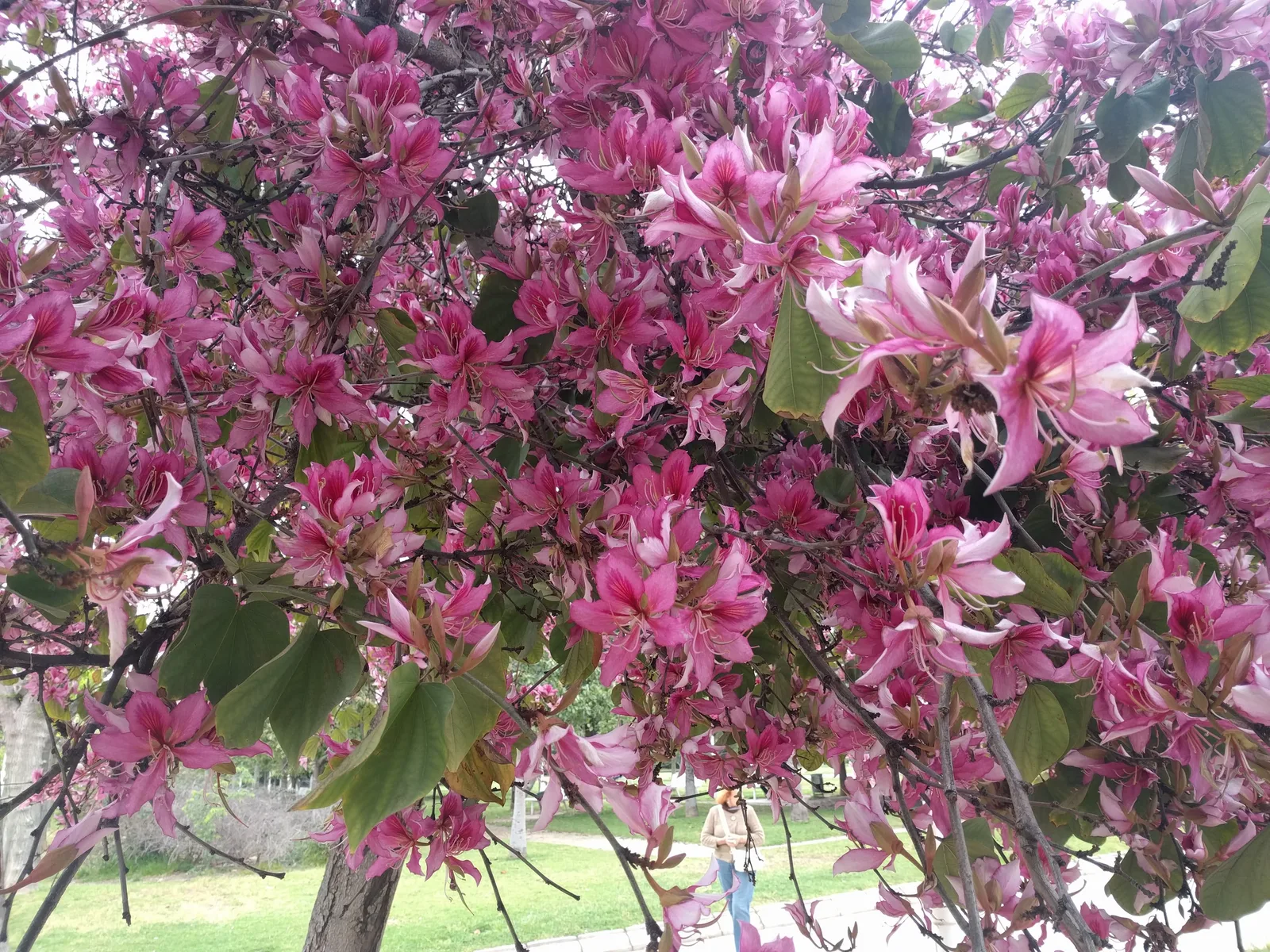 Photo from 29 April 2017