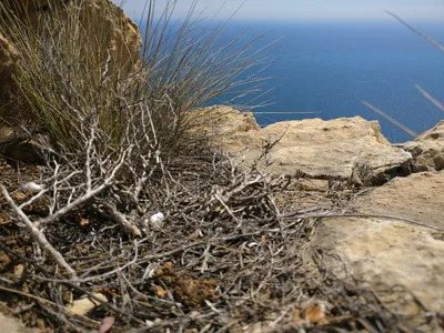 l'Alfàs del Pi, Spain — 30 April 2017
