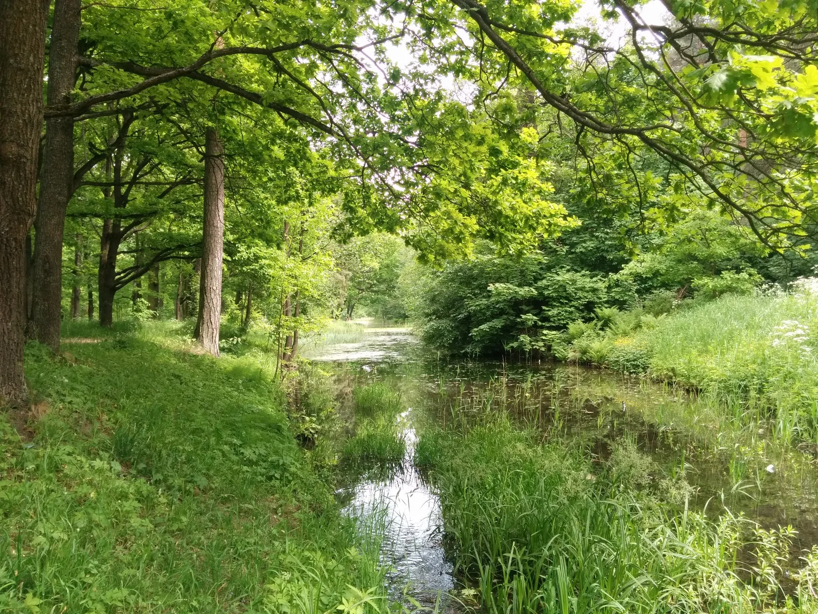 Photo from 14 June 2015