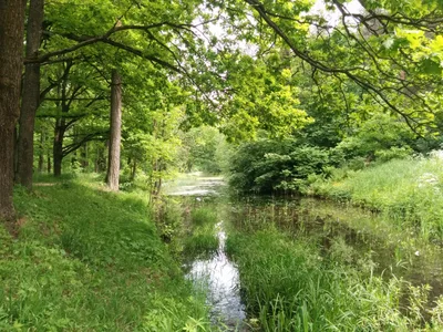 Photo from 14 June 2015