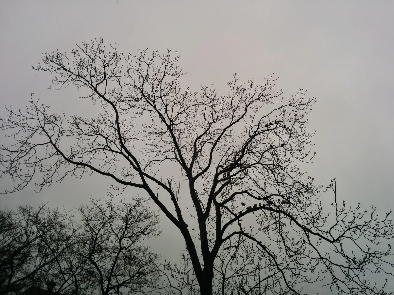 Photo from 30 March 2014