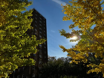East Harlem, United States — 6 November 2023