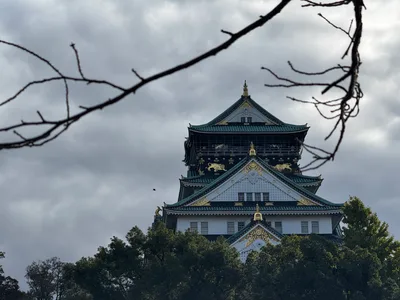 Ajiharacho, Japan — 23 November 2024