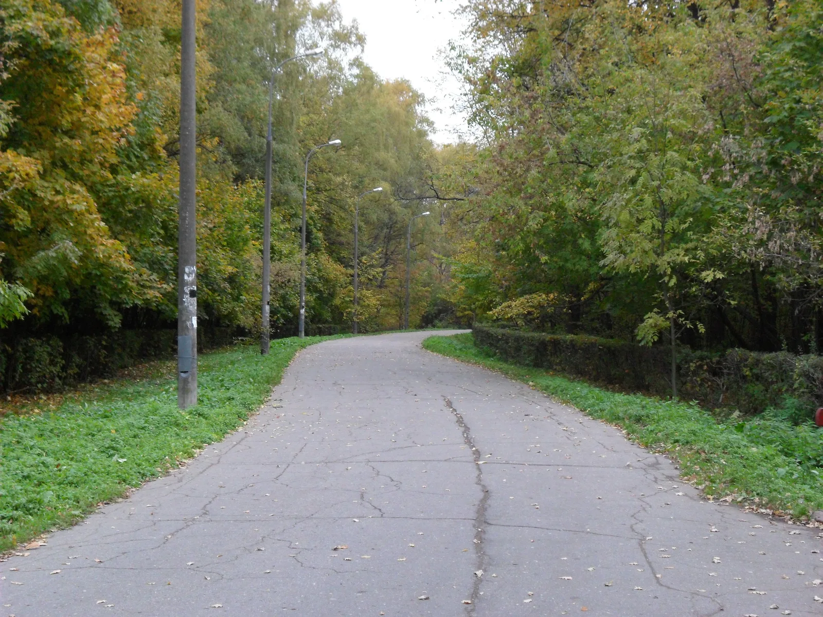 Photo from 11 October 2010