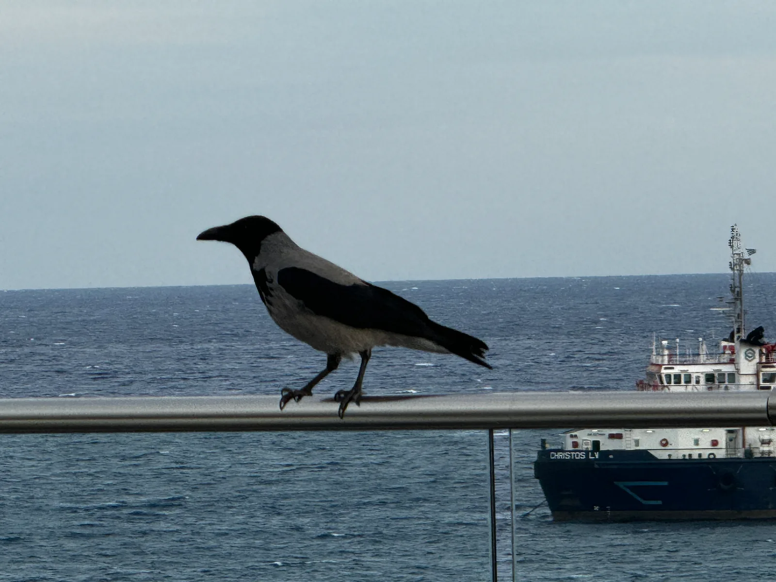 Limassol, Cyprus — 22 November 2023