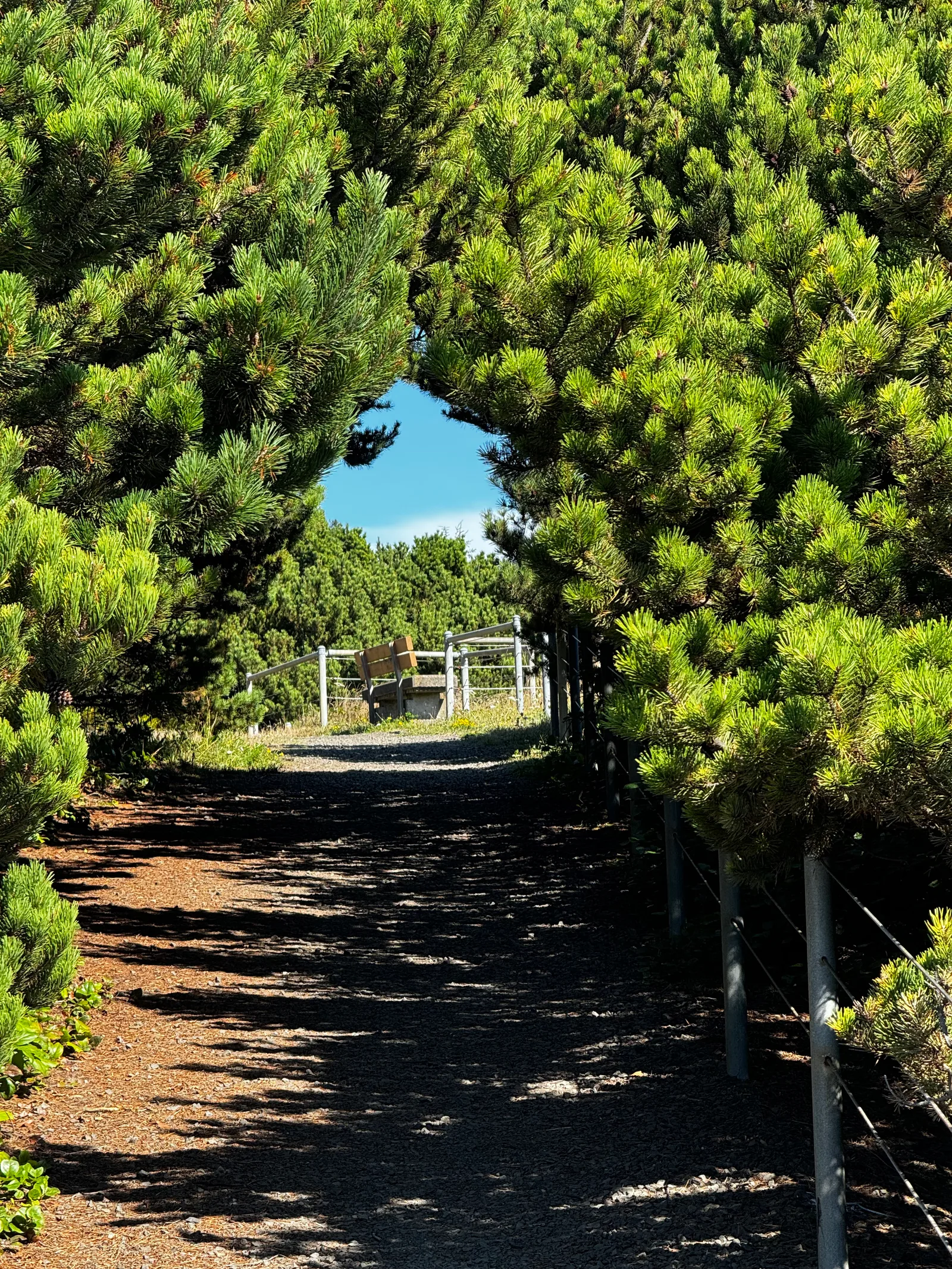 Agate Beach, United States — 25 August 2024
