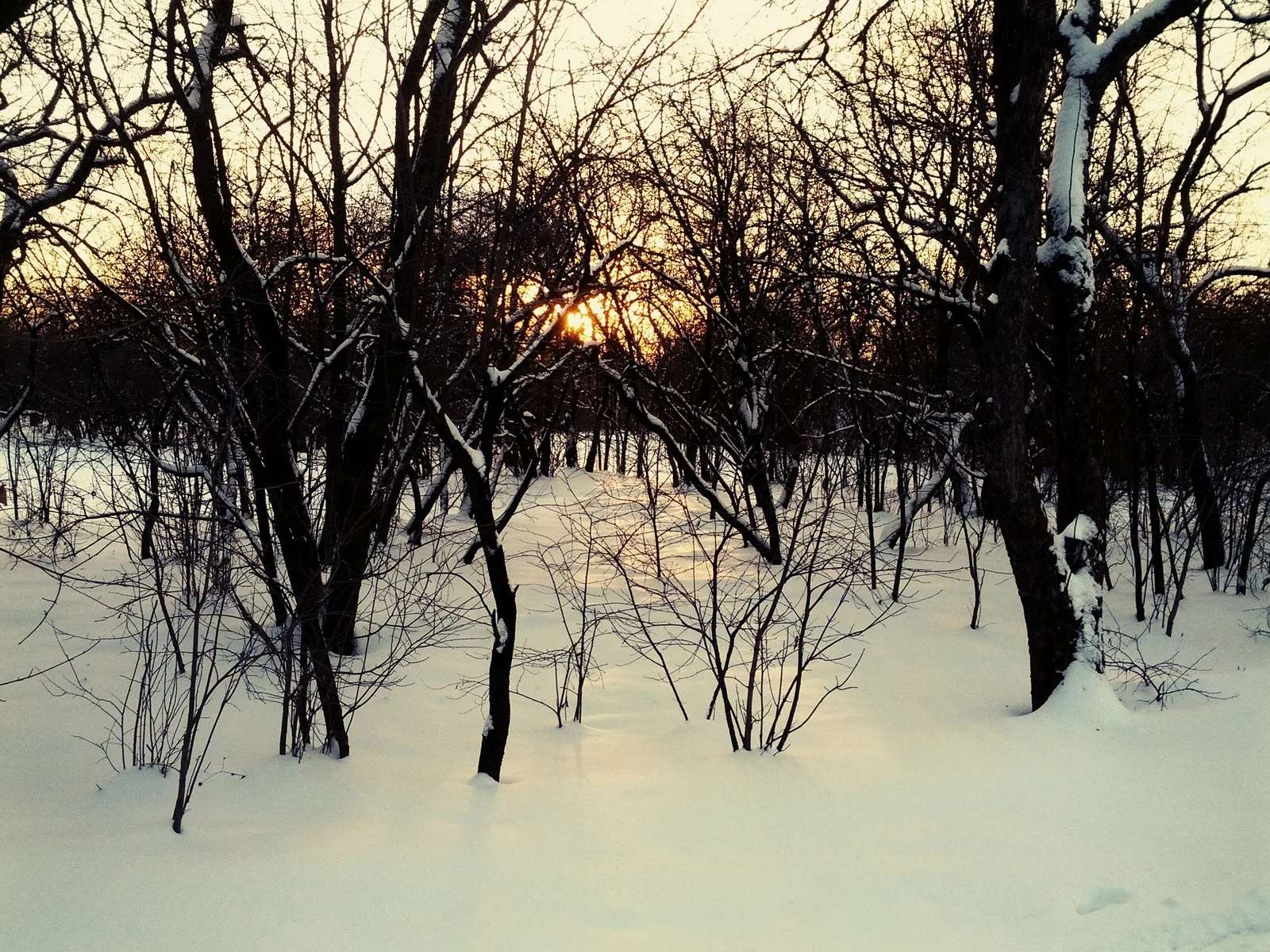 Photo from 9 December 2012