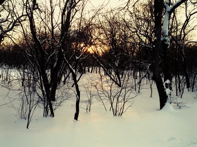 Photo from 9 December 2012