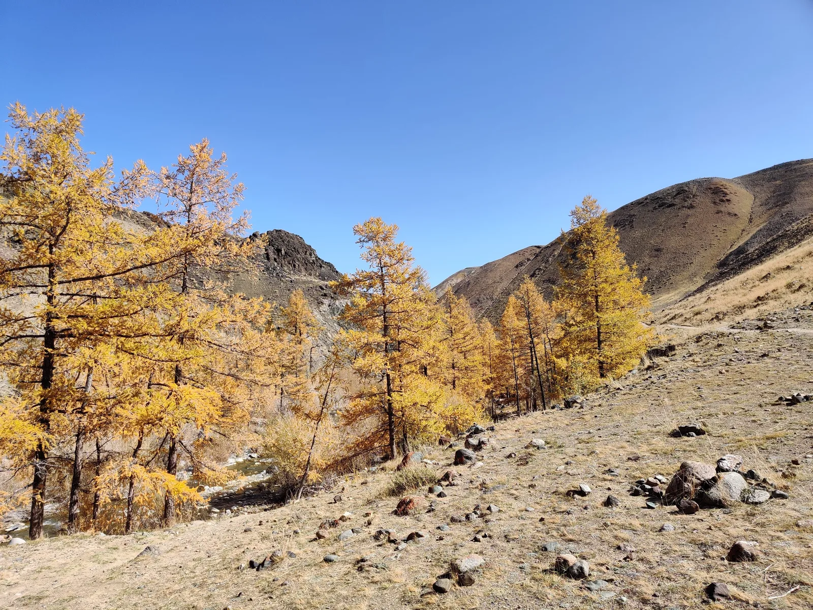 Kosh-Agach, Russia — 20 September 2020