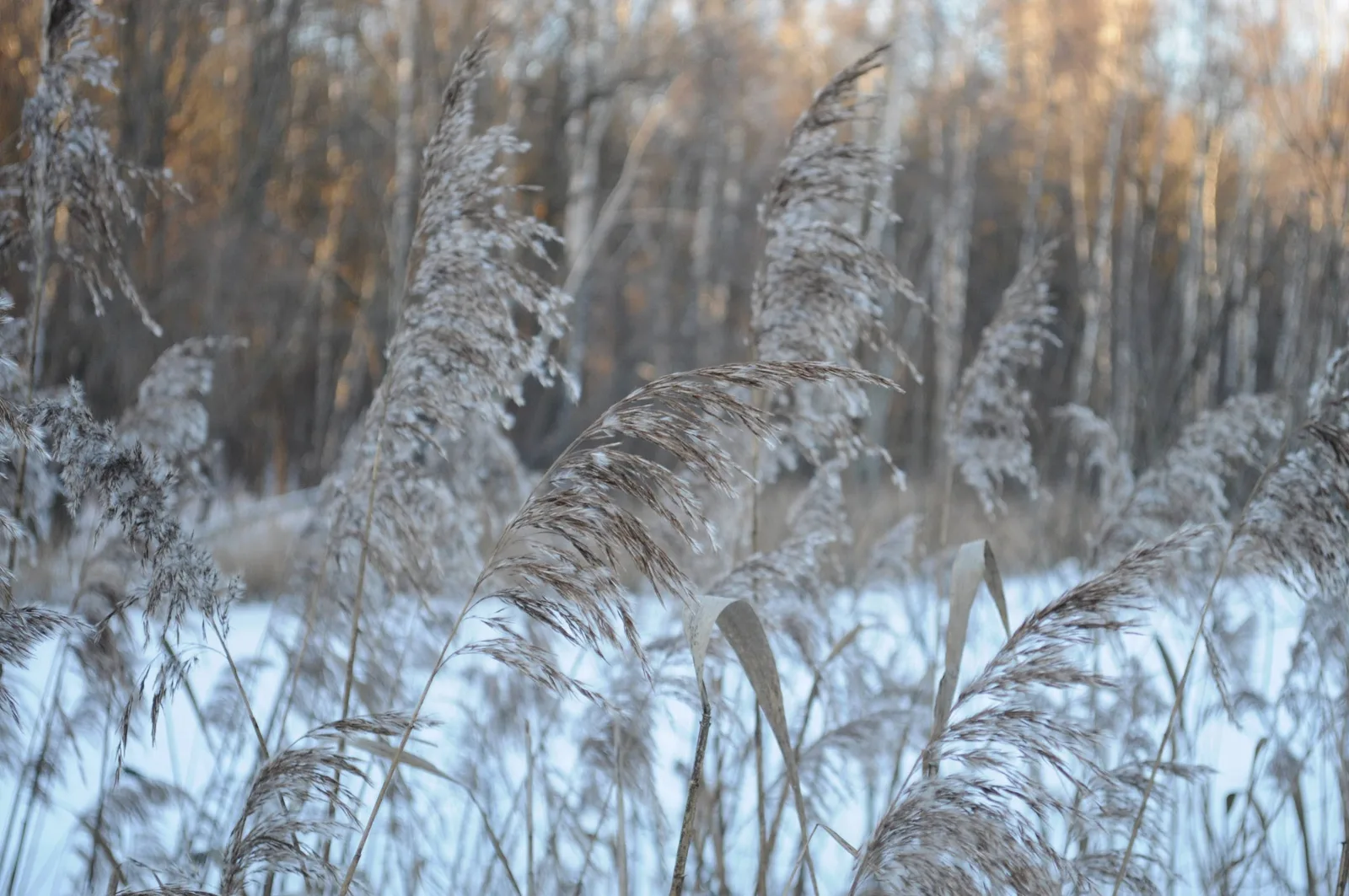 Photo from 15 December 2013