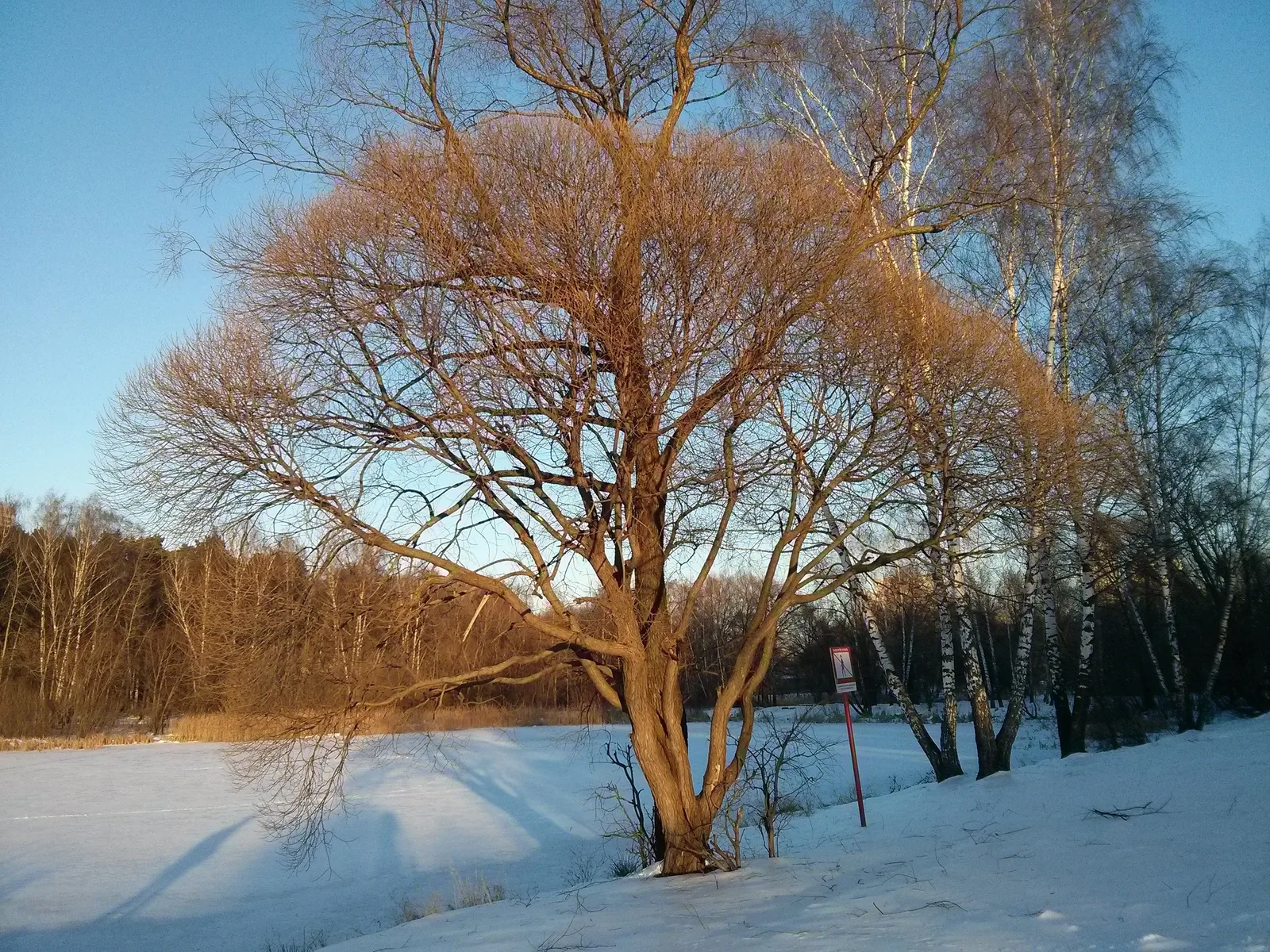 Photo from 15 December 2013