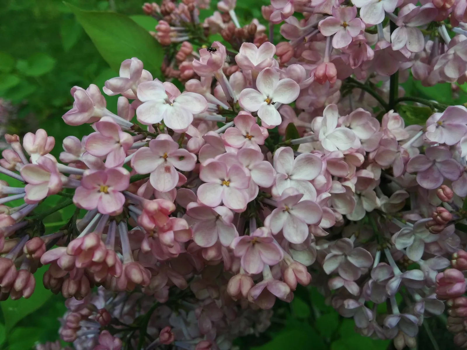 Photo from 23 May 2015