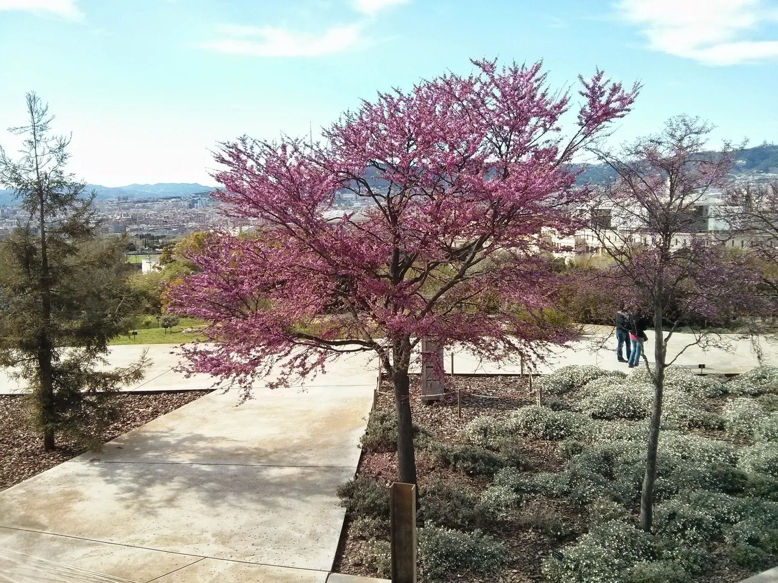 Photo from 4 April 2014