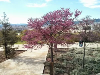 Photo from 4 April 2014