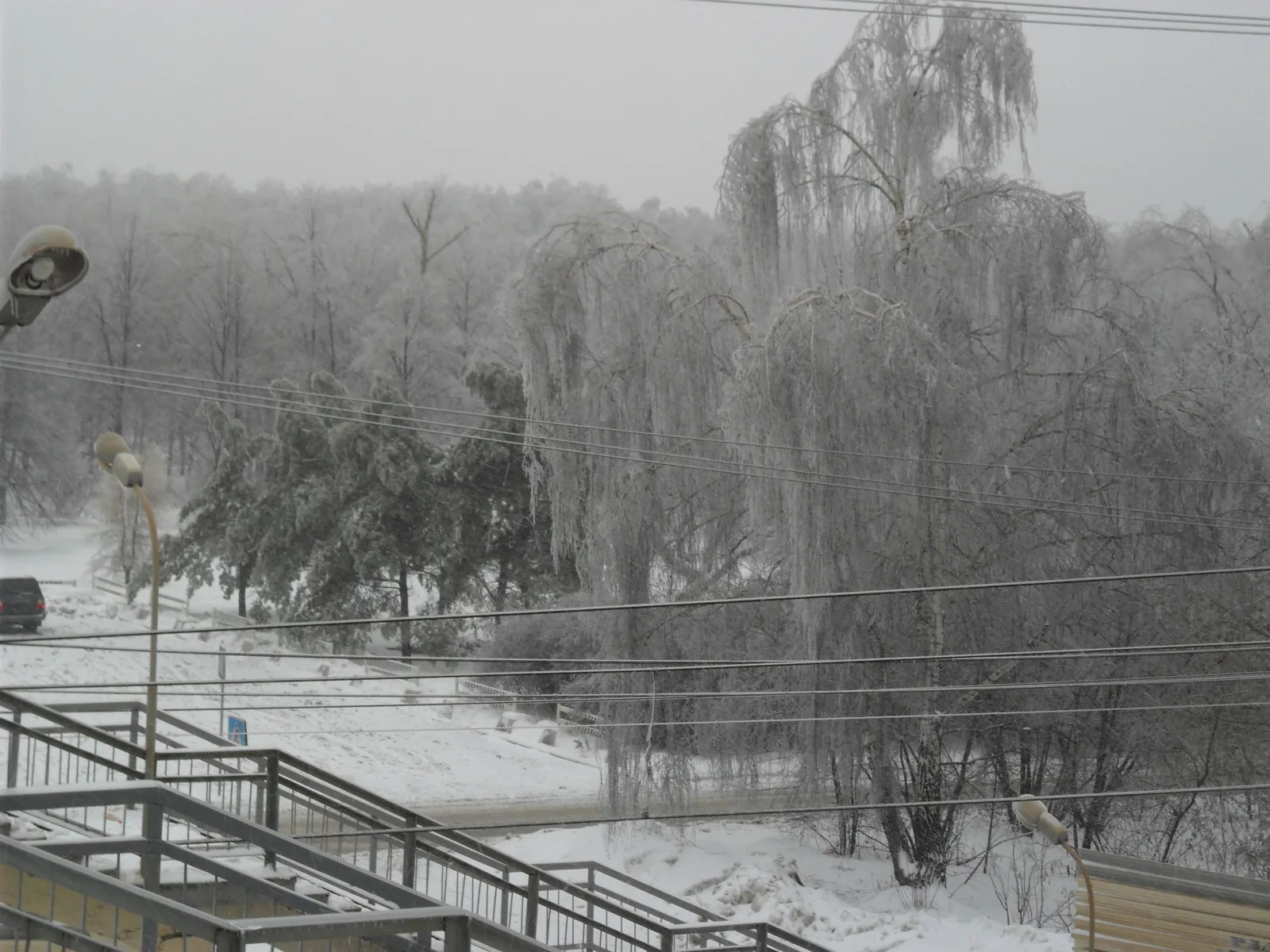 Photo from 26 December 2010