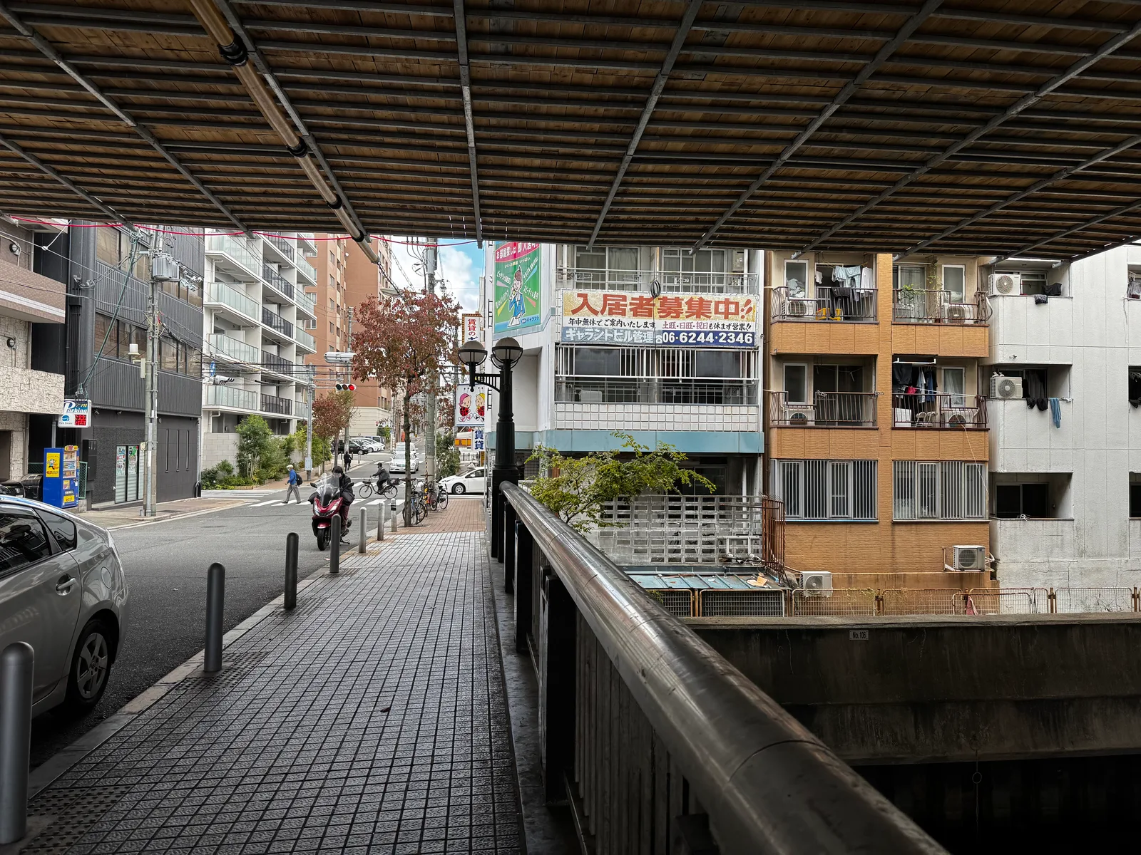 Ajiharacho, Japan — 23 November 2024