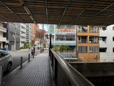 Ajiharacho, Japan — 23 November 2024