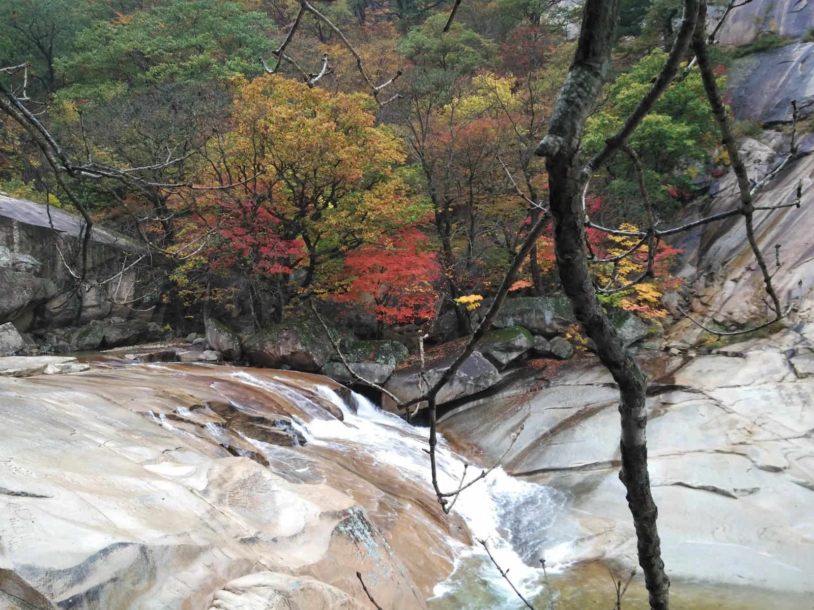 Photo from 21 October 2016