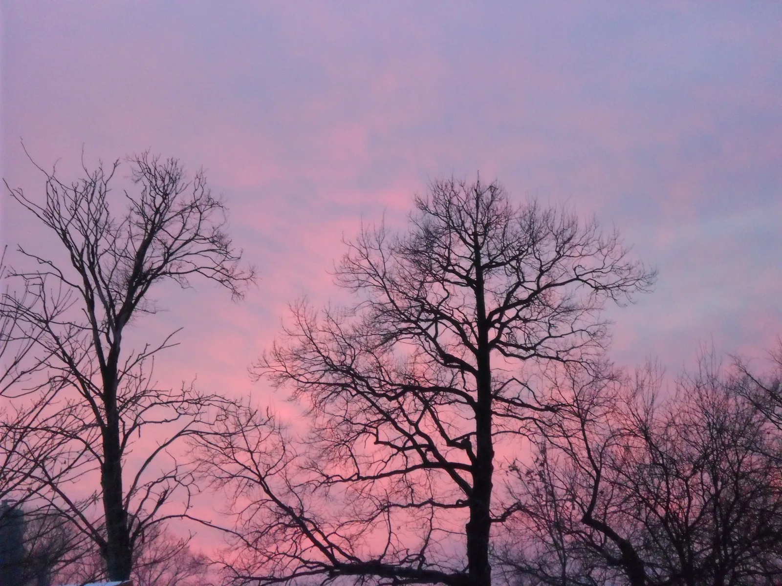 Photo from 5 December 2010