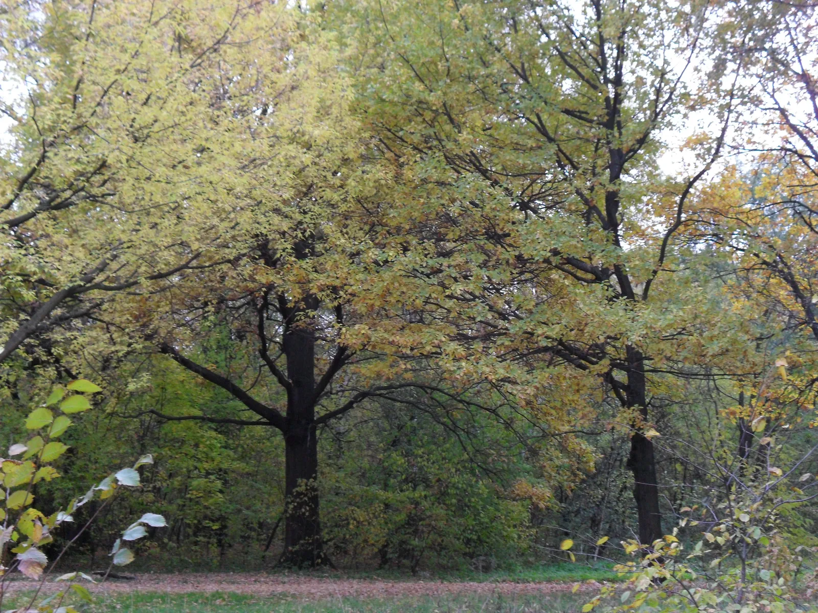 Photo from 11 October 2010